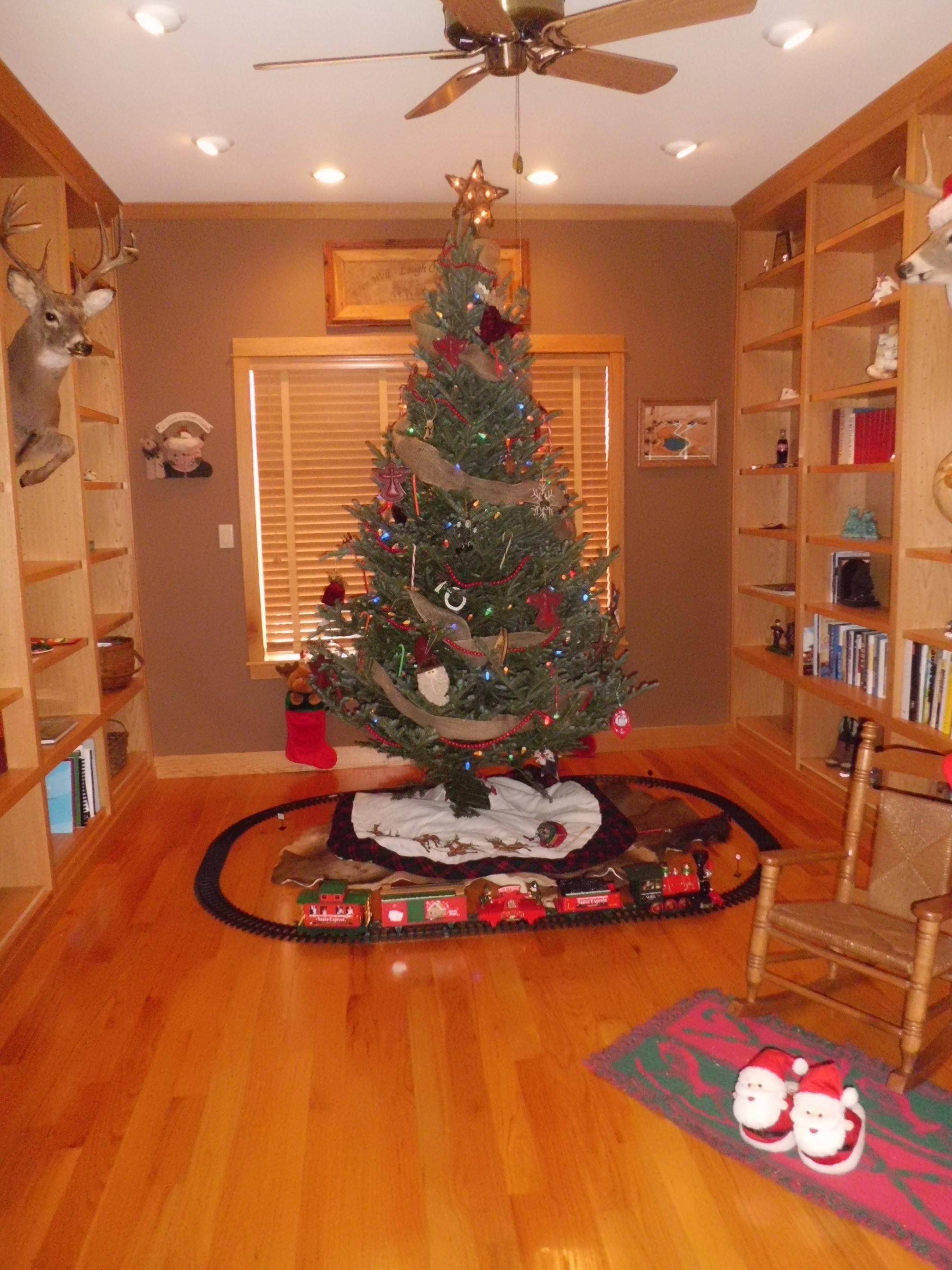 Cooper -_Christmas_tree