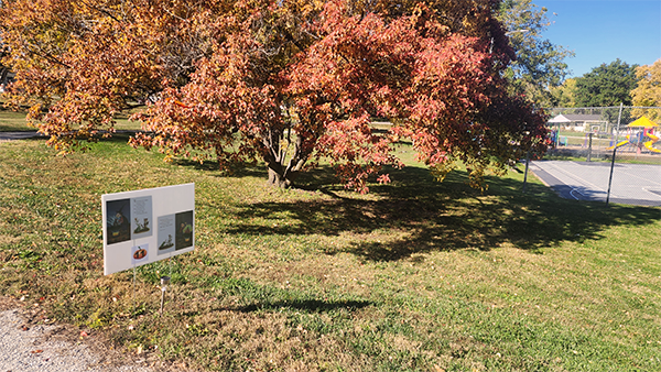 Elmwood park libreary 10 2023