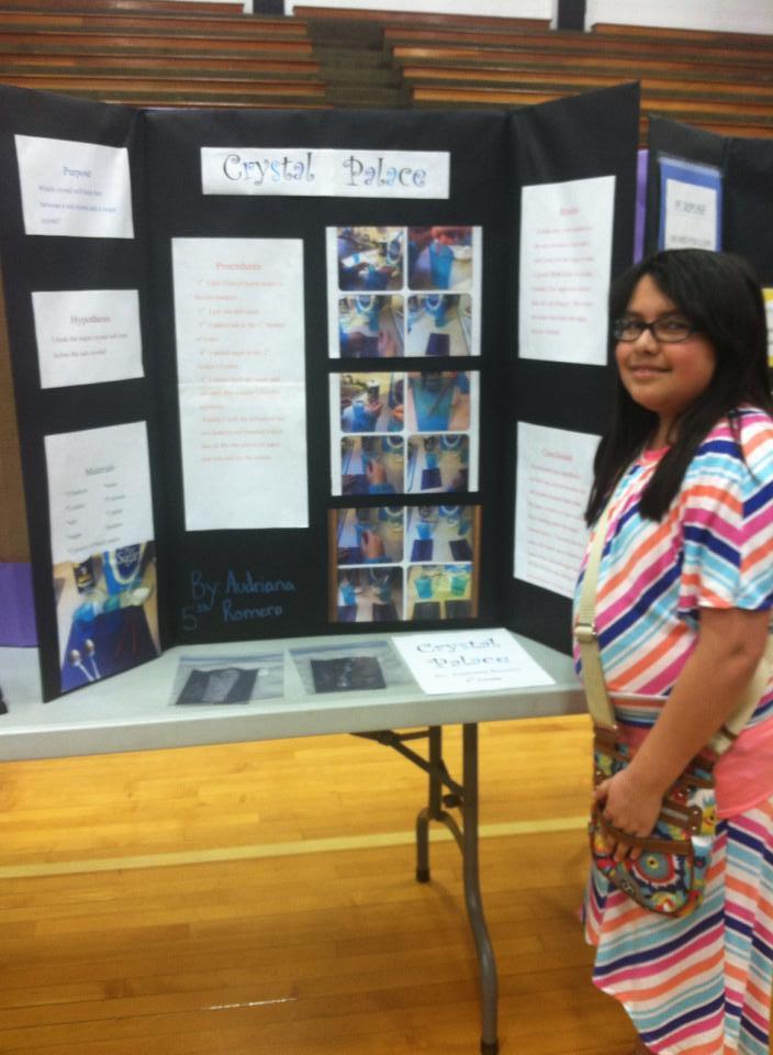 Science fair 1