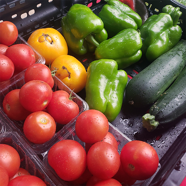 Elmwood NE farmers market 08042021b