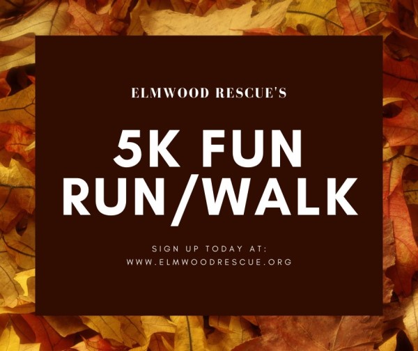Elmwood Rescue squad 2021SM