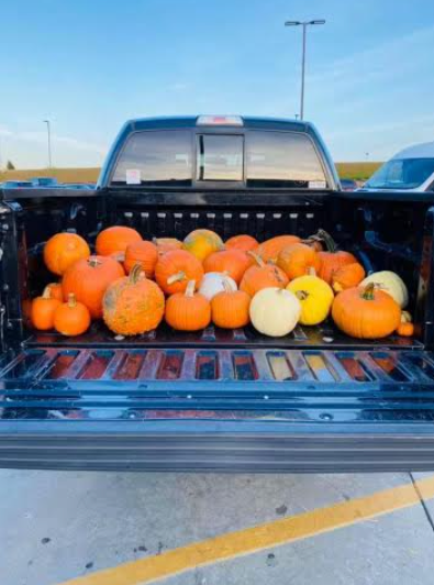 pumpkinrecycling 2021c