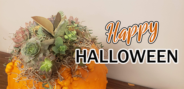 happy halloween