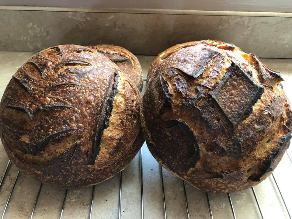 sourdough bread