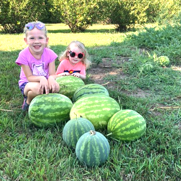 Farmers Market 08242022