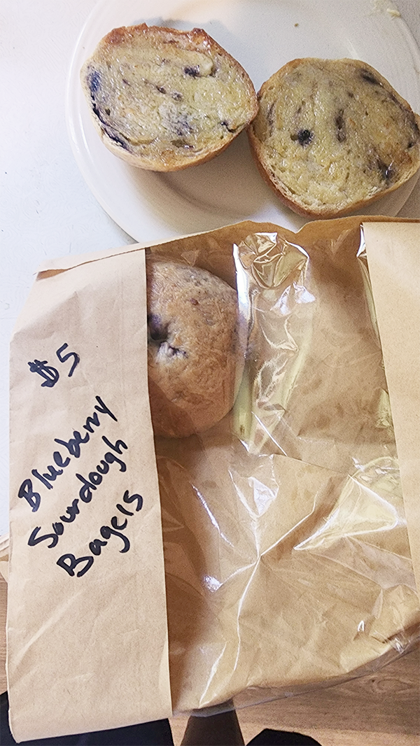 Blueberry Bagel 2024