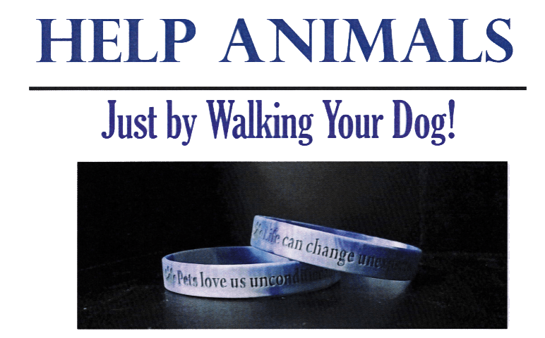 DogwalkingFundraiser 4 H