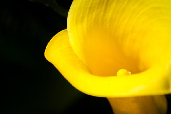 IMG 7869 403