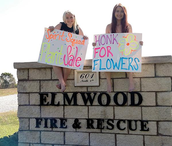 ElmwoodSpringPlantsale4
