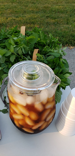 elmwoodfarmersmarket 0815b