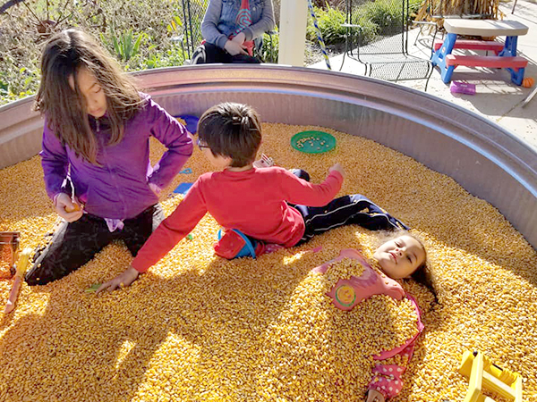 cornpit