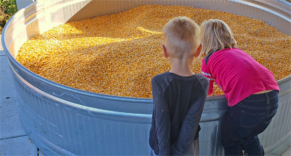 Elmwoodpumpkinfarm 2018 3