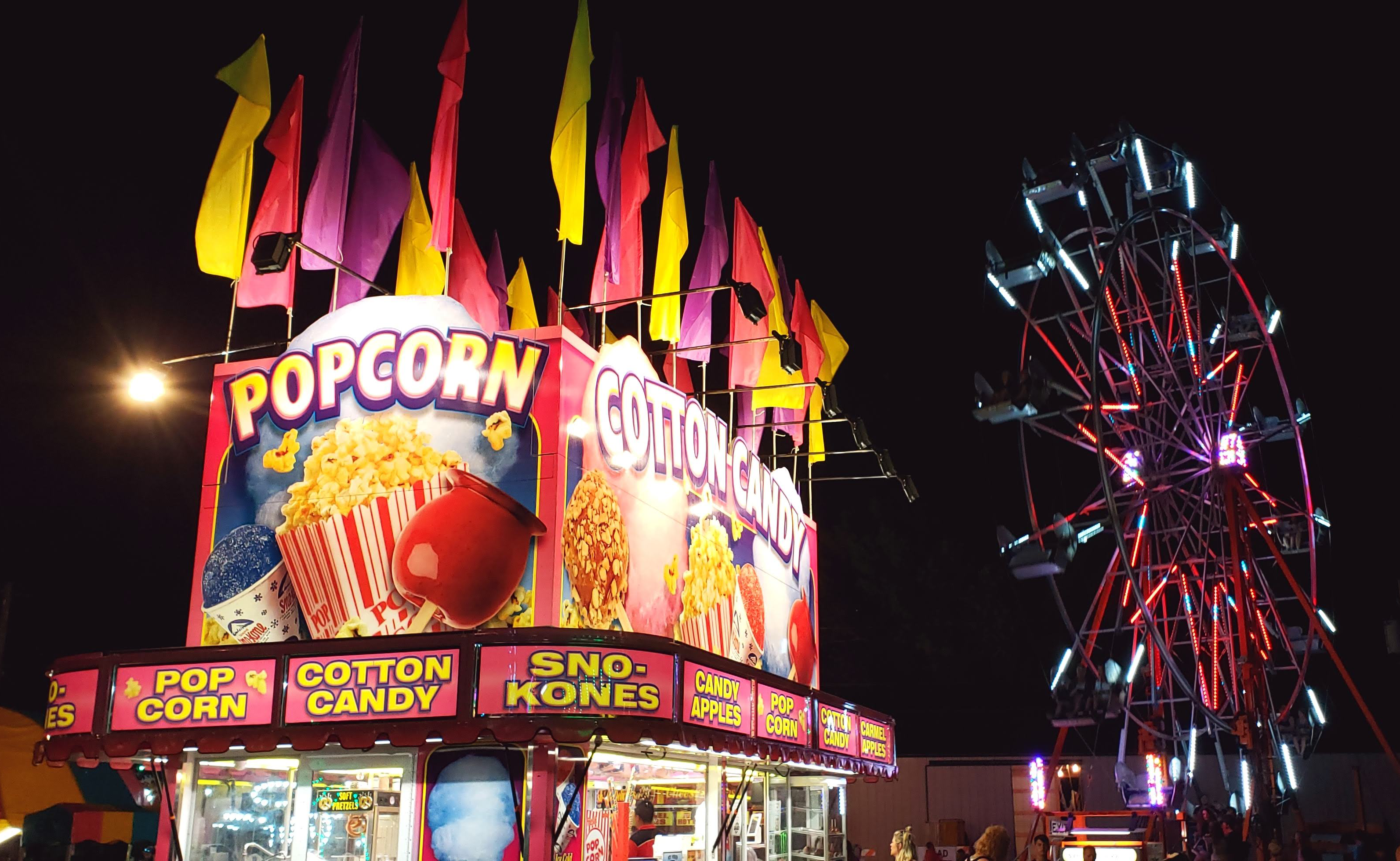 county fair 2018