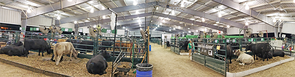 county fair 2018b