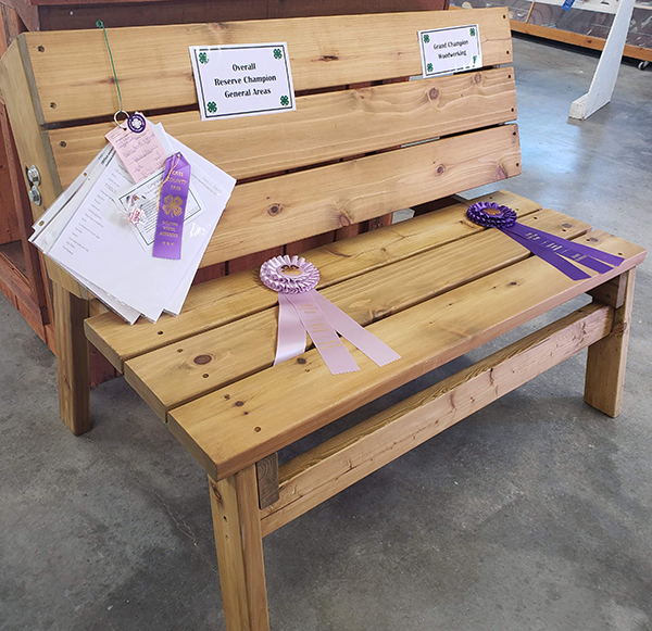 casscountyfair2019austinHawks Elmwood