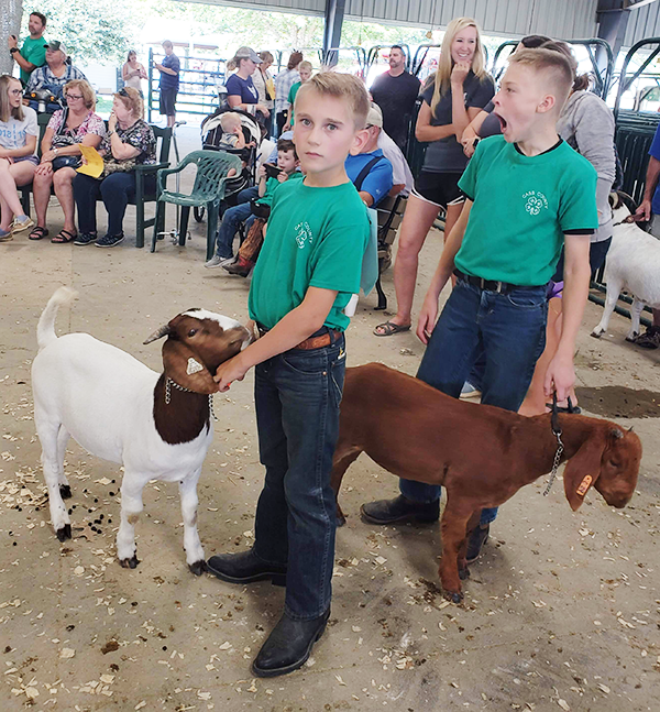 casscountyfair goatshow2019