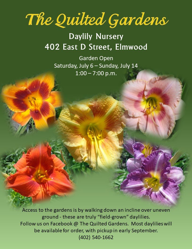 Elmwood News July 10 2019