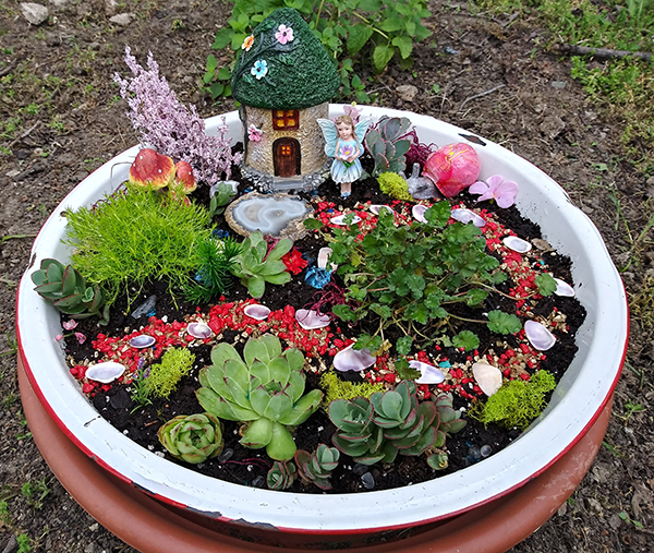 FairyGarden3