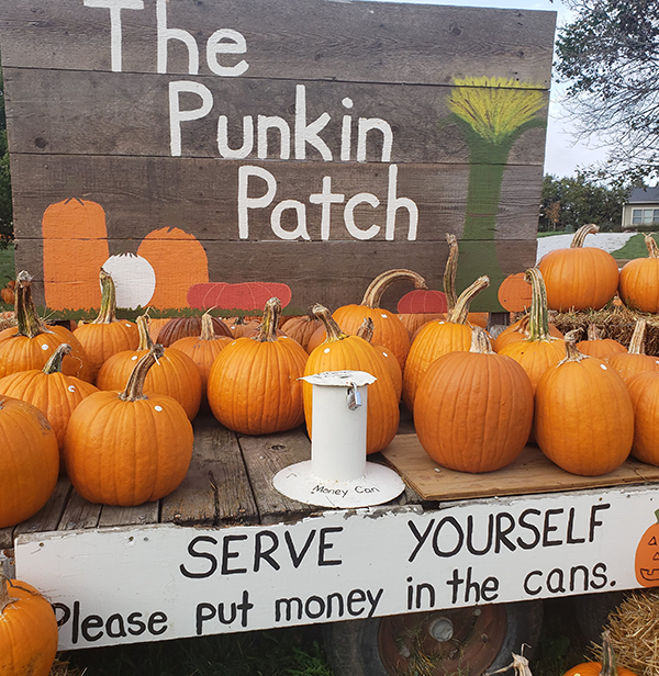 pumpkinpatch