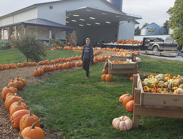 pumpkinpatch4