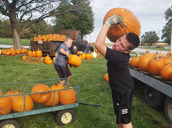 oehlerkingpumpkins2