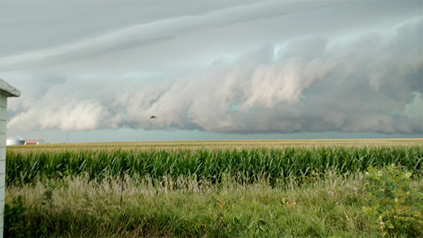 JeffClymerstorm