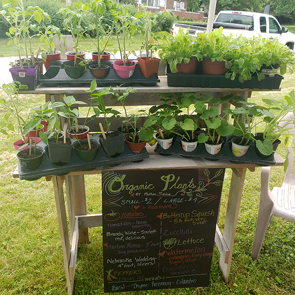 farmers market elmwood 6 6 2020 e