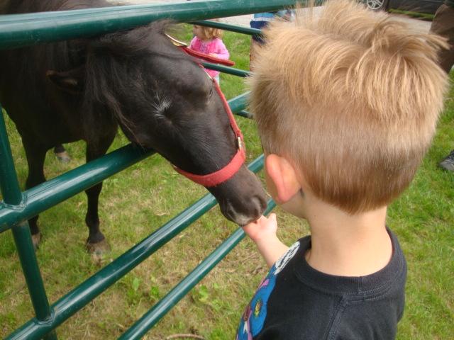 Park_pets_pony