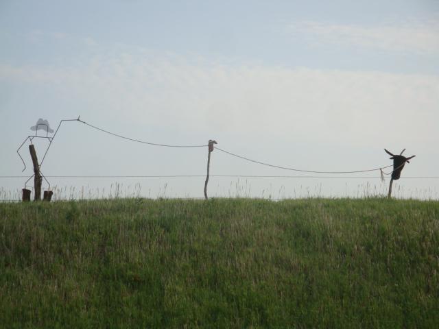 DSC02801