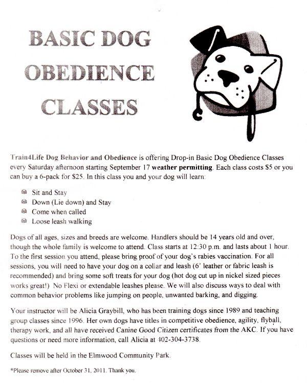 dog_training